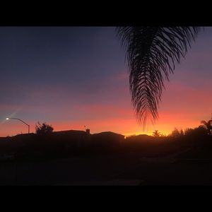 Meet your Posher, Ariana